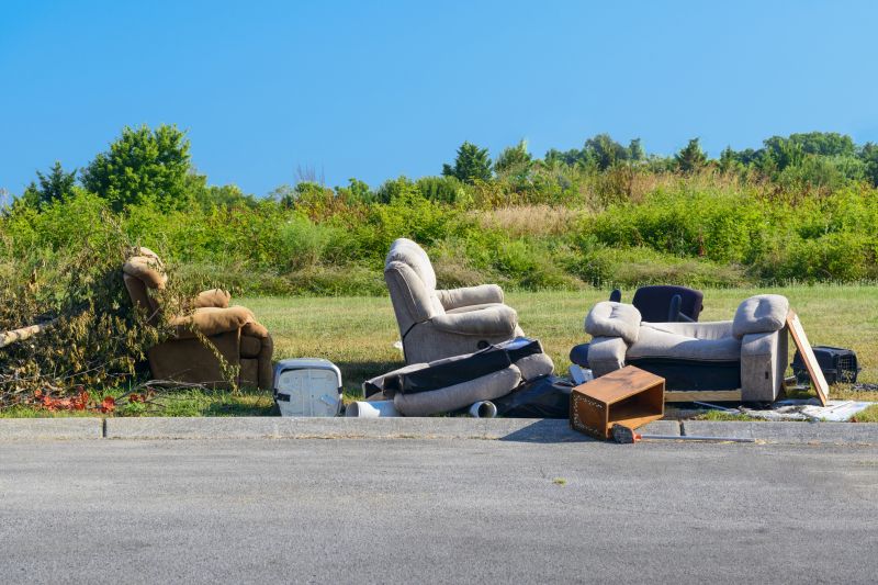 Couch Removal Service in Madison, WI