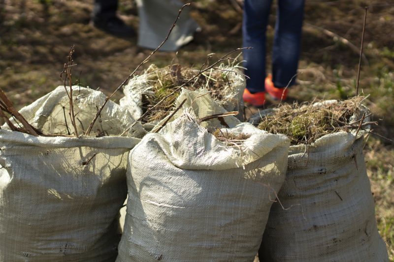 Junk Removal Service