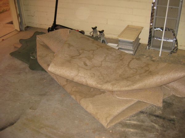 Basement Rug Removal