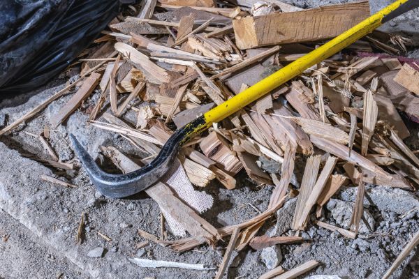 Wood Debris Removal - Wood Debris Removal Alexandria, Virginia
