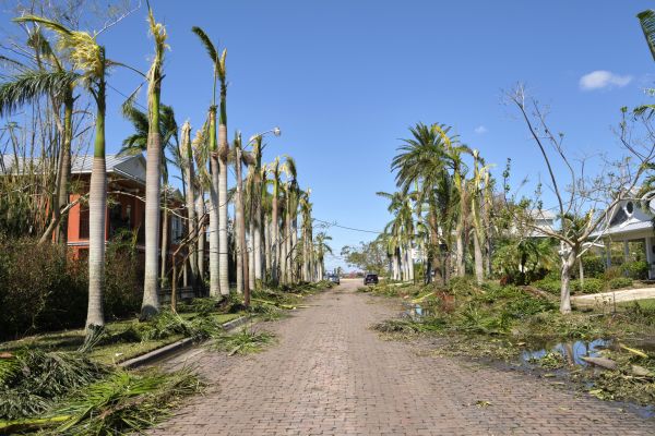 Disaster Debris Removal - Disaster Debris Removal Dayton, Ohio